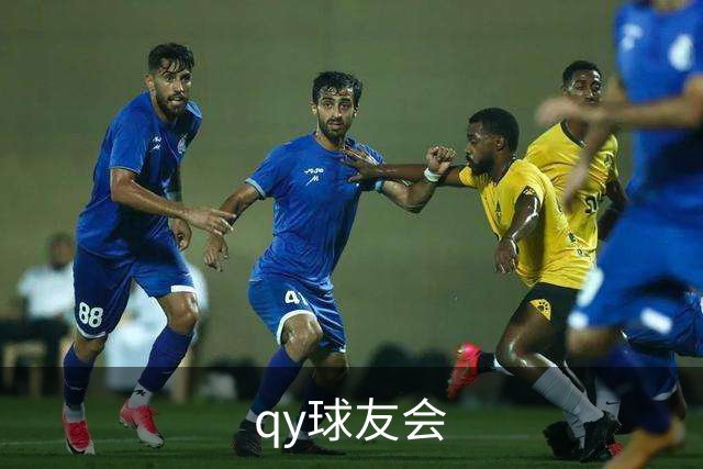 关于qy球友会